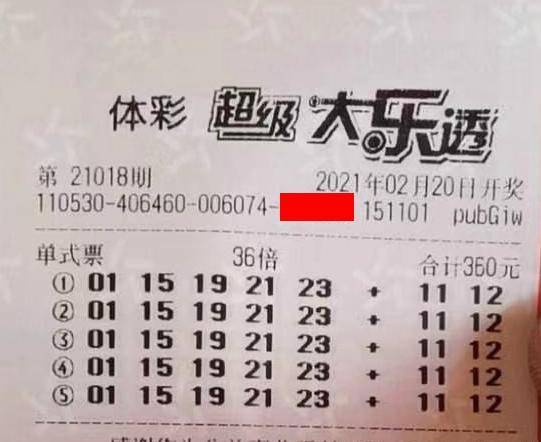 王中王018期指一生肖，揭秘背后的奧秘與意義，揭秘生肖奧秘，王中王生肖背后的意義與秘密