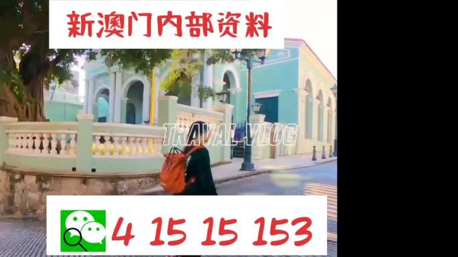 澳門944資料詳解，探索其背后的故事與重要性，澳門944資料深度解析，背后的故事與重要性探索