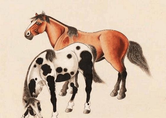 馬一王中王特平一肖圖，深度解析與SEO優(yōu)化策略，深度解析馬一王中王特平肖圖，SEO優(yōu)化策略探討