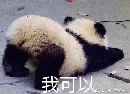 澳門四不像正版四不像網(wǎng)，探索真實(shí)與虛幻的交融之地，澳門四不像正版探索，真實(shí)與虛幻的交融世界