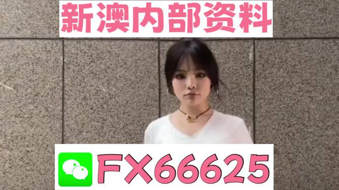 澳門正版資料大全完整版，探索與揭秘2025年澳門正版資料的世界，澳門正版資料大全揭秘，探索未來至2025年的奧秘世界