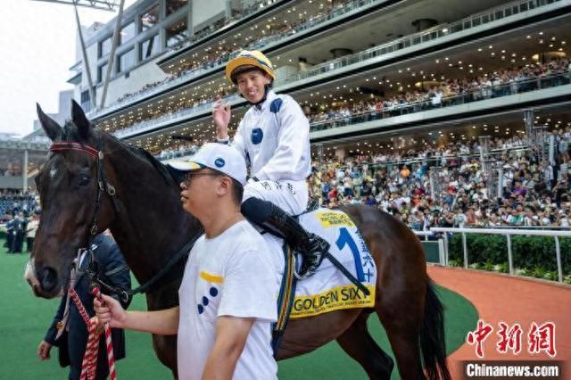 香港特馬王資料免費公開，揭秘背后的秘密，香港特馬王資料揭秘，免費公開背后的秘密