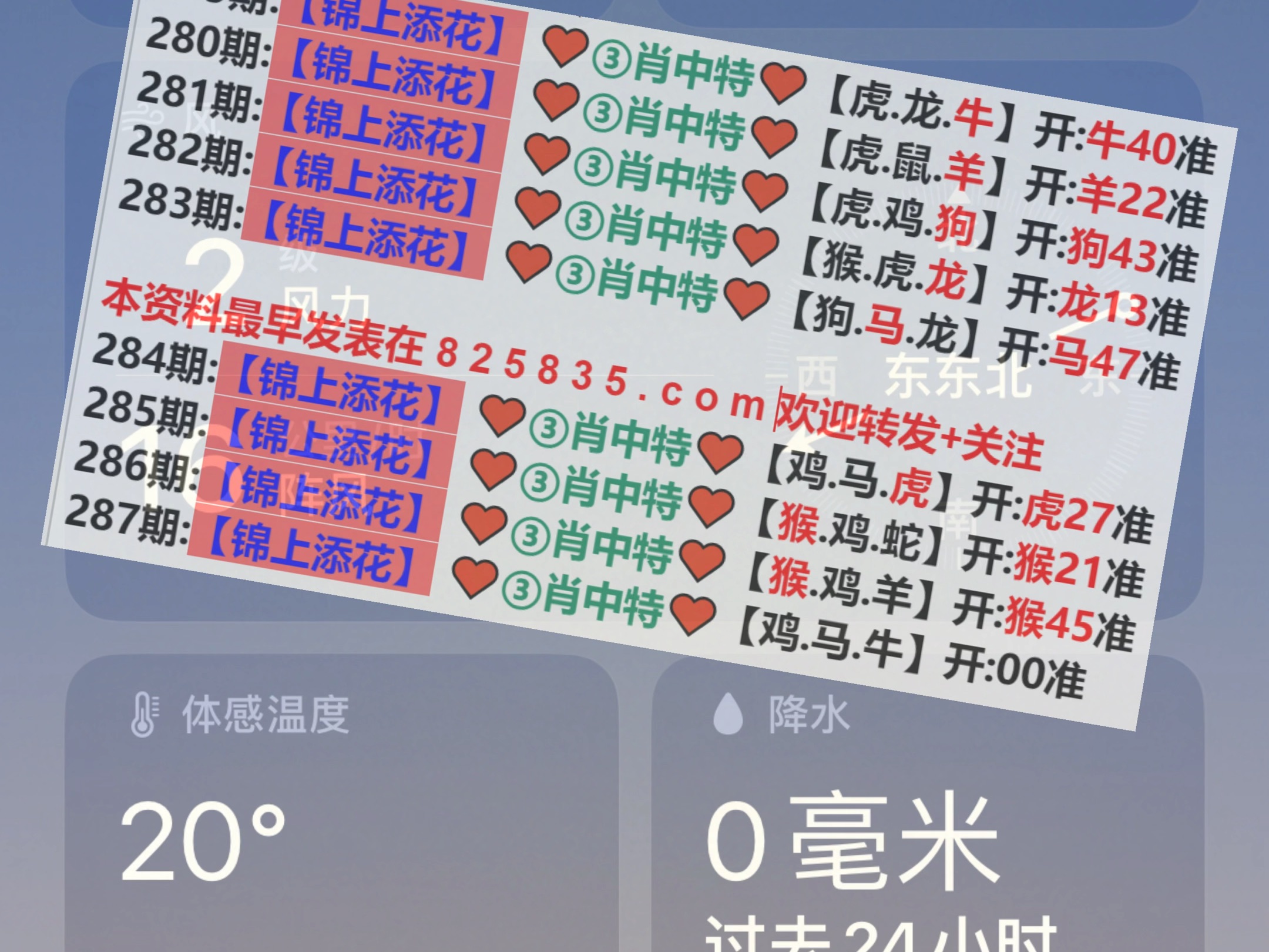 新澳2025年精準(zhǔn)一肖一碼，揭秘預(yù)測背后的秘密，揭秘新澳2025年精準(zhǔn)一肖一碼預(yù)測背后的秘密