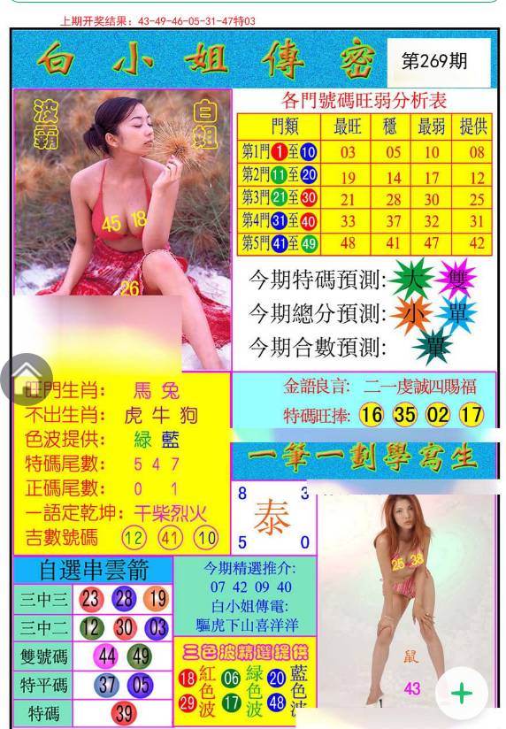 揭秘白小姐與王中王平持一肖的神秘面紗，白小姐與王中王，揭秘神秘生肖預(yù)測(cè)面紗