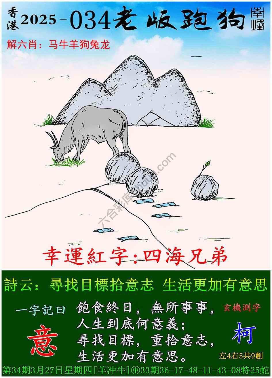 全新升級！探索7777788888新版跑狗資料，全新升級！探索跑狗資料7777788888新版揭秘