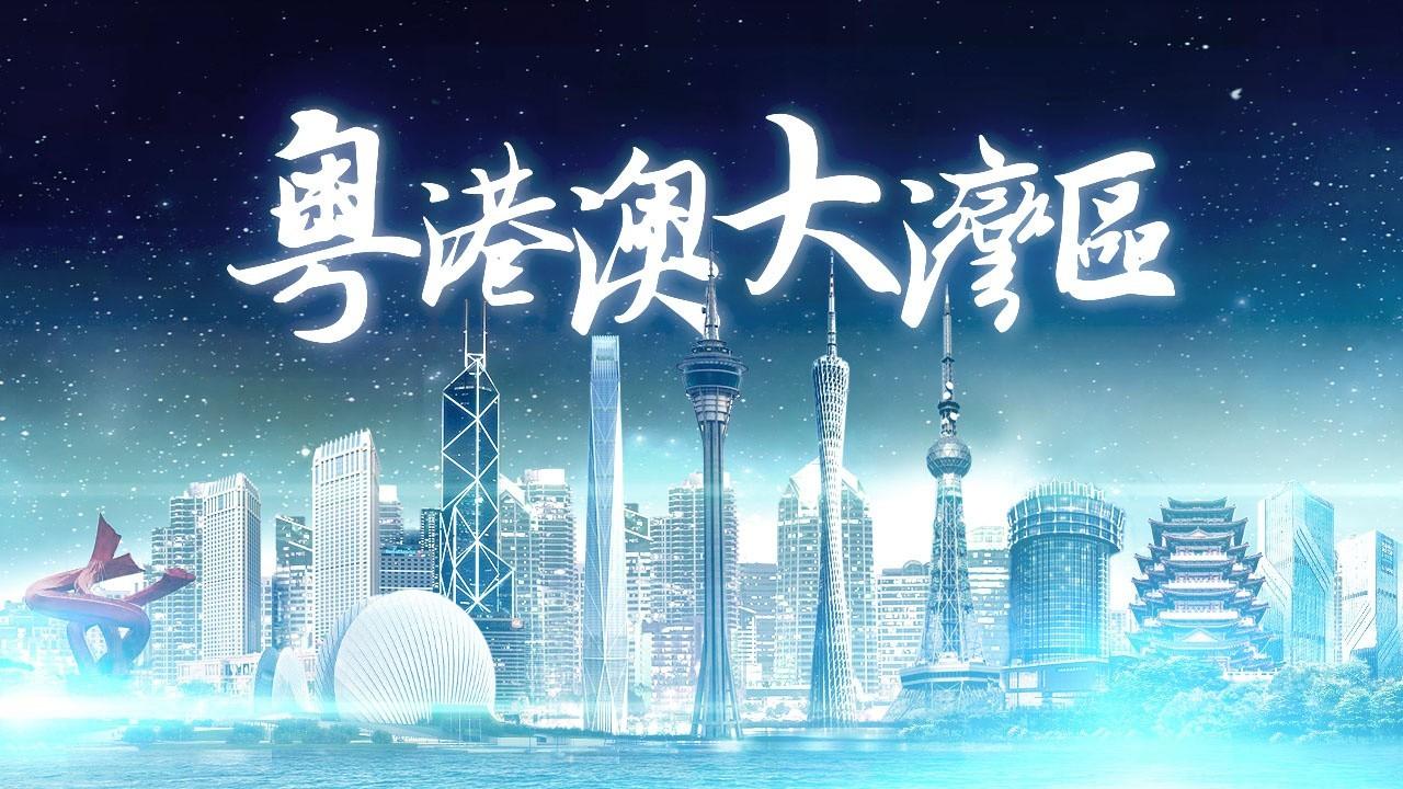 2025年香港正版免費資料全面解析，香港正版免費資料全面解析（2025版）
