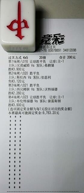 揭秘買(mǎi)一肖中獎(jiǎng)的賠率與風(fēng)險(xiǎn)，你真的準(zhǔn)備好了嗎？，揭秘買(mǎi)一肖中獎(jiǎng)背后的賠率與風(fēng)險(xiǎn)，你真的做好準(zhǔn)備了嗎？