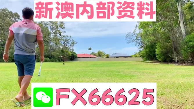 王中王兩肖一碼，揭秘背后的奧秘，王中王兩肖一碼揭秘，背后的秘密與奧秘