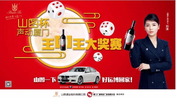 揭秘王中王背后的故事，從肖中的視角看其在SEO領(lǐng)域的輝煌成就，肖中視角下的王中王，SEO領(lǐng)域的輝煌成就揭秘