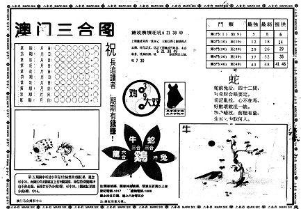 王中王資料一肖中特官婆，深度解析與SEO優(yōu)化策略，王中王資料一肖中特官婆深度解析與SEO優(yōu)化策略探討