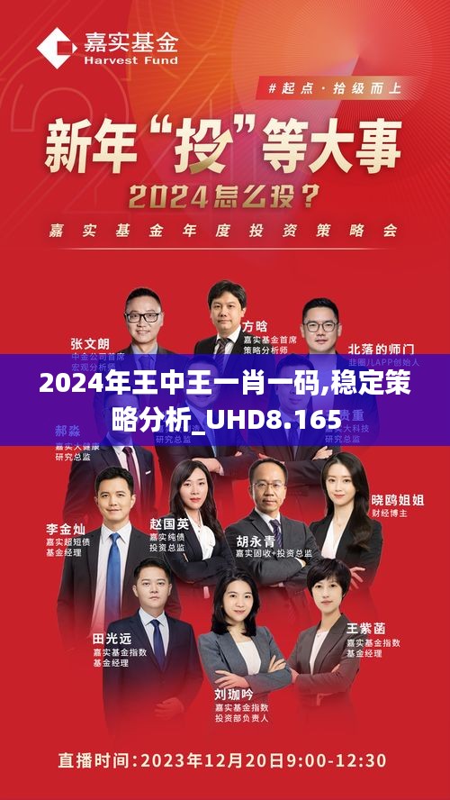 王中王一馬中一肖一馬，探尋背后的故事與奧秘，探尋王中王一馬中一肖一馬背后的故事與奧秘