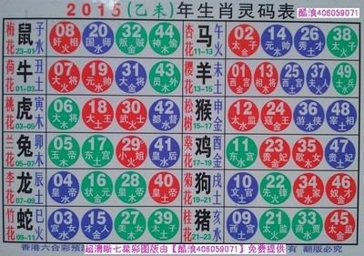 揭秘2025十二生肖與數(shù)字彩票的神奇聯(lián)系——49碼表全解析，揭秘十二生肖與數(shù)字彩票的神秘聯(lián)系，2025年49碼表深度解析