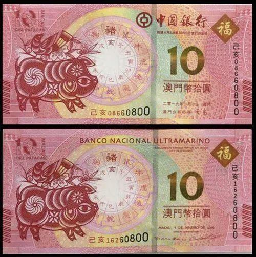 澳門天天彩期期精準(zhǔn)十二生肖預(yù)測——揭秘彩票背后的秘密，澳門天天彩期期精準(zhǔn)十二生肖預(yù)測，彩票背后的秘密大揭秘