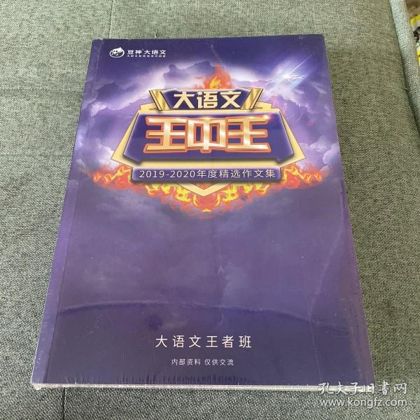 2019王中王資料解析，一肖中qr的秘密，揭秘王中王資料解析與一肖中qr的秘密，解密背后的真相