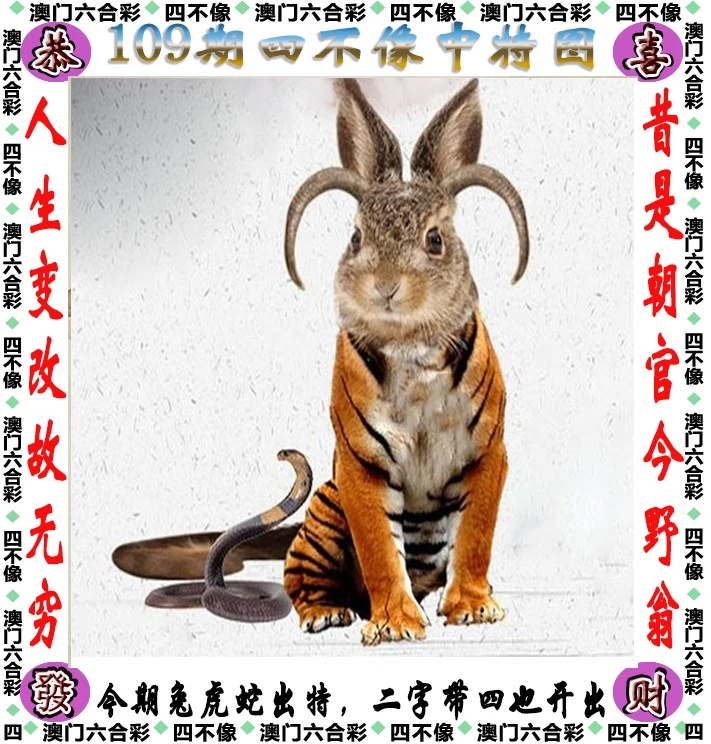 四不像王中王資料一肖，深度解析與探索，四不像王中王資料一肖，深度解析與探索揭秘
