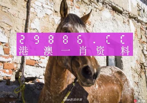 王中王資料一門肖中，深度解析與探索，王中王資料一門肖詳解，深度解析與探索