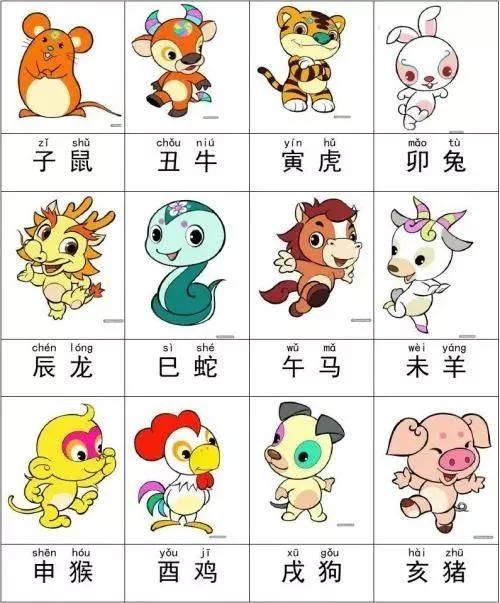 一肖有哪幾個生肖，生肖一肖包含哪些生肖