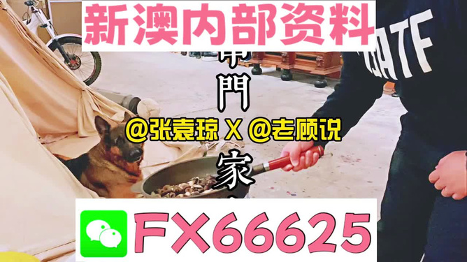 新澳門精準(zhǔn)資料大全，管家婆料解析與探索，澳門精準(zhǔn)資料大全，管家婆料解析與深度探索