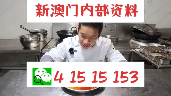 管家婆一肖資料大全，深度解析與探索，管家婆一肖資料深度解析與探索大全