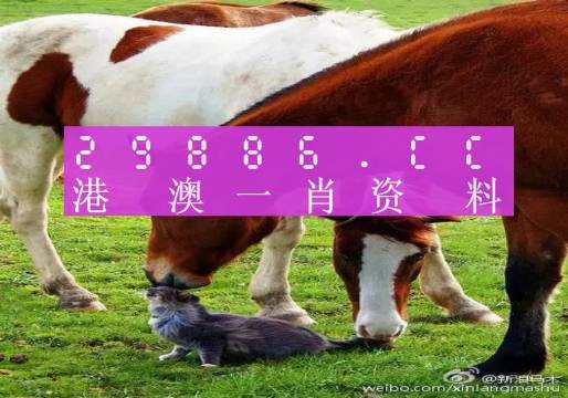 新奧門一肖一碼，揭秘精準(zhǔn)預(yù)測的秘密，揭秘新澳門一肖一碼精準(zhǔn)預(yù)測的秘密