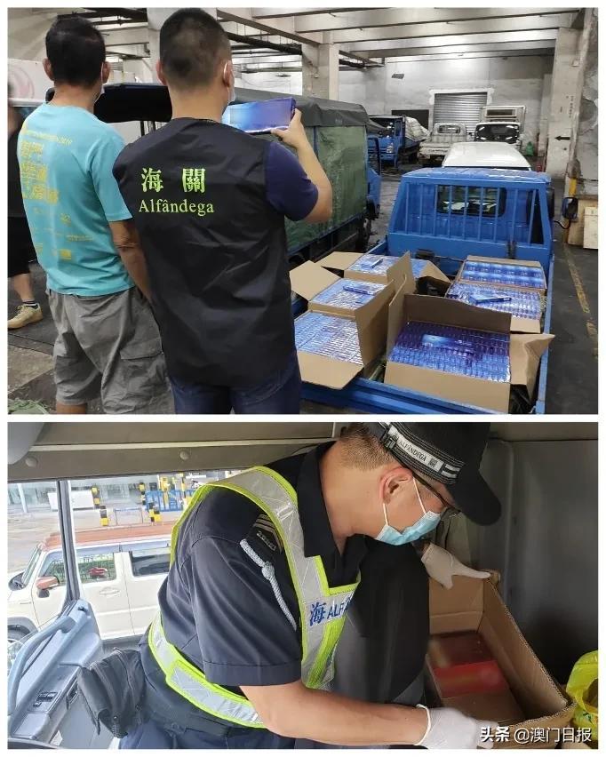 澳門今晚必開一肖080，揭秘生肖運(yùn)勢(shì)與預(yù)測(cè)之謎，澳門今晚必開一肖揭秘，生肖運(yùn)勢(shì)預(yù)測(cè)之謎開啟！