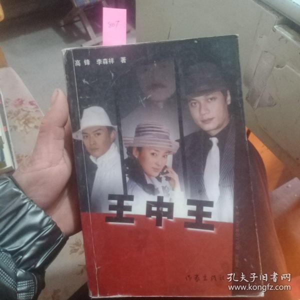 王中王資料一肖中天，深度解析與探索，王中王資料一肖中天，深度剖析與探索