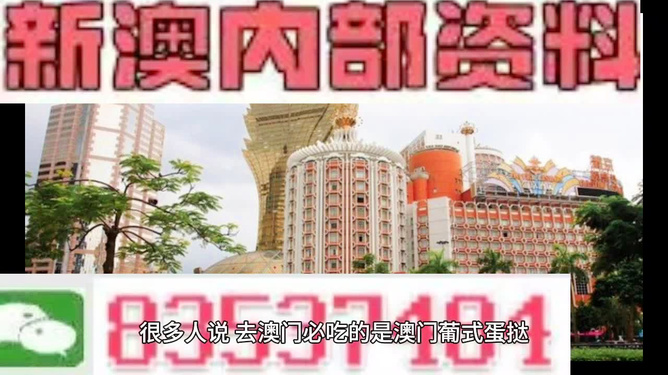 新澳門三中三碼精準(zhǔn)預(yù)測，揭秘成功概率背后的秘密與策略（附詳細(xì)解析），揭秘新澳門三中三碼成功預(yù)測背后的秘密與策略解析