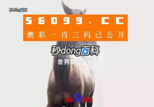 香港內部公開資料一碼，深度解析與探索，香港內部公開資料一碼深度解析與探索揭秘