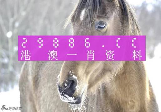 澳門一肖一碼背后的故事，精準(zhǔn)背后的秘密與傳奇，澳門一肖一碼背后的秘密與傳奇故事揭秘