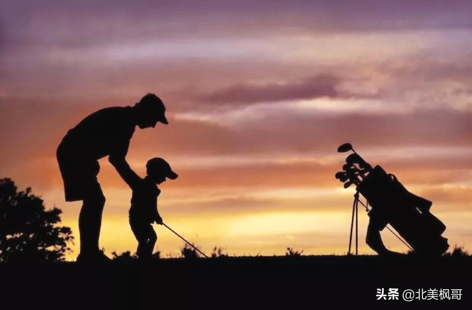 森林高手王中王與神秘生肖——深度解讀背后的故事與秘密，森林高手王中王與神秘生肖，故事背后的深度解讀與秘密探尋