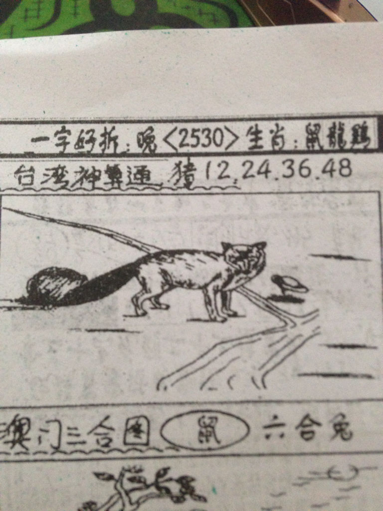 揭秘生肖奧秘，看圖猜一生肖劉伯溫的傳奇故事，揭秘生肖奧秘，劉伯溫傳奇故事中的生肖之謎探索