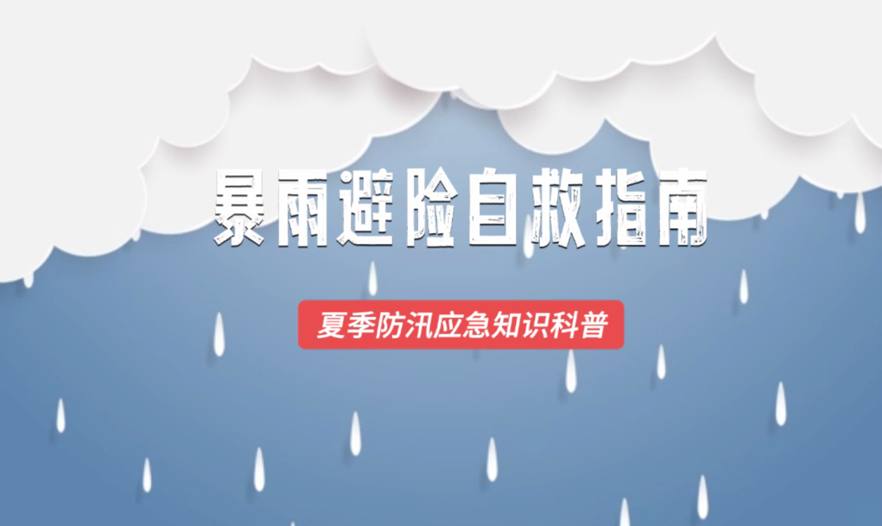 澳門六2023開獎結(jié)果詳解及預(yù)測分析，澳門六開獎結(jié)果詳解與預(yù)測分析（2023年）