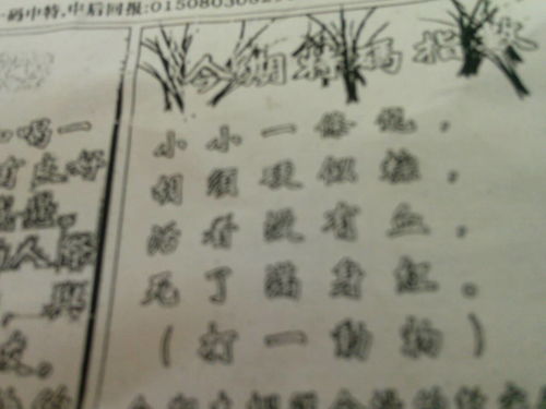 揭秘劉伯溫的一肖一特，探尋神秘傳奇背后的真相，劉伯溫傳奇揭秘，揭秘生肖之謎與獨(dú)特特質(zhì)背后的真相
