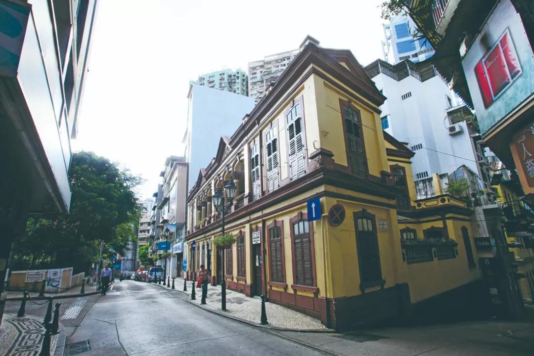 澳門今晚必開一肖，揭秘生肖運(yùn)勢(shì)與預(yù)測(cè)邏輯，澳門今晚生肖預(yù)測(cè)揭秘，生肖運(yùn)勢(shì)與預(yù)測(cè)邏輯分析