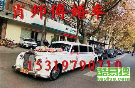 王中王車奪平特一肖免費(fèi)——深度解析與探索，王中王車奪平特一肖，深度解析與免費(fèi)探索