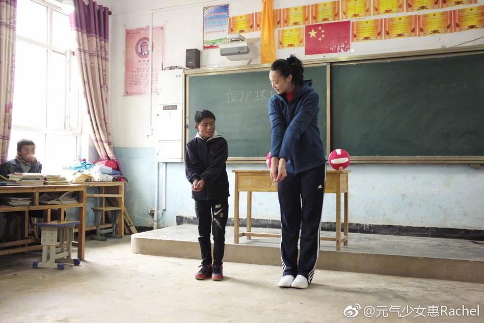 王中王平特一肖一大公開，深度解析與探索，王中王平特一肖公開，深度解析與探索揭秘