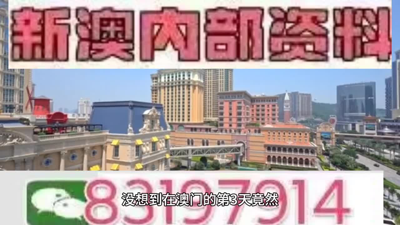 新澳門(mén)今晚必開(kāi)一肖一特，探索生肖與特碼的魅力，澳門(mén)生肖特碼探索，今晚必開(kāi)一肖一特之魅力