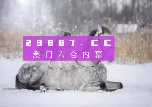 澳門正版精準(zhǔn)資料，探索未來(lái)的趨勢(shì)與機(jī)遇（2024年展望），澳門正版精準(zhǔn)資料揭秘，未來(lái)趨勢(shì)與機(jī)遇展望（2024年）