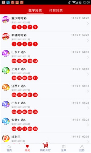一碼一肖，揭秘背后的秘密與探索其獨(dú)特魅力，揭秘一碼一肖背后的秘密與獨(dú)特魅力探索