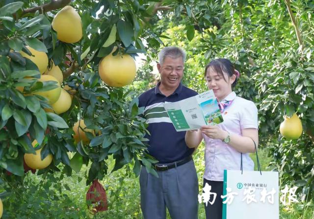 資料大全正版資料2025，一站式獲取所有你需要的信息，資料大全正版資料2025，一站式獲取所有信息總匯