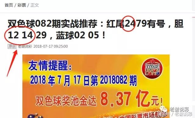 王中王082期指一生肖——探尋生肖魅力，洞悉運勢奧秘，探尋生肖魅力，揭秘運勢奧秘——王中王生肖運勢解析 082期