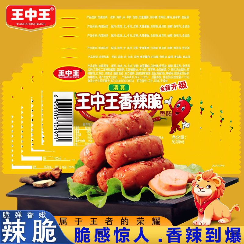 王中王資料一y肖中，深度解析與探索，王中王資料一y肖中深度解析與探索揭秘