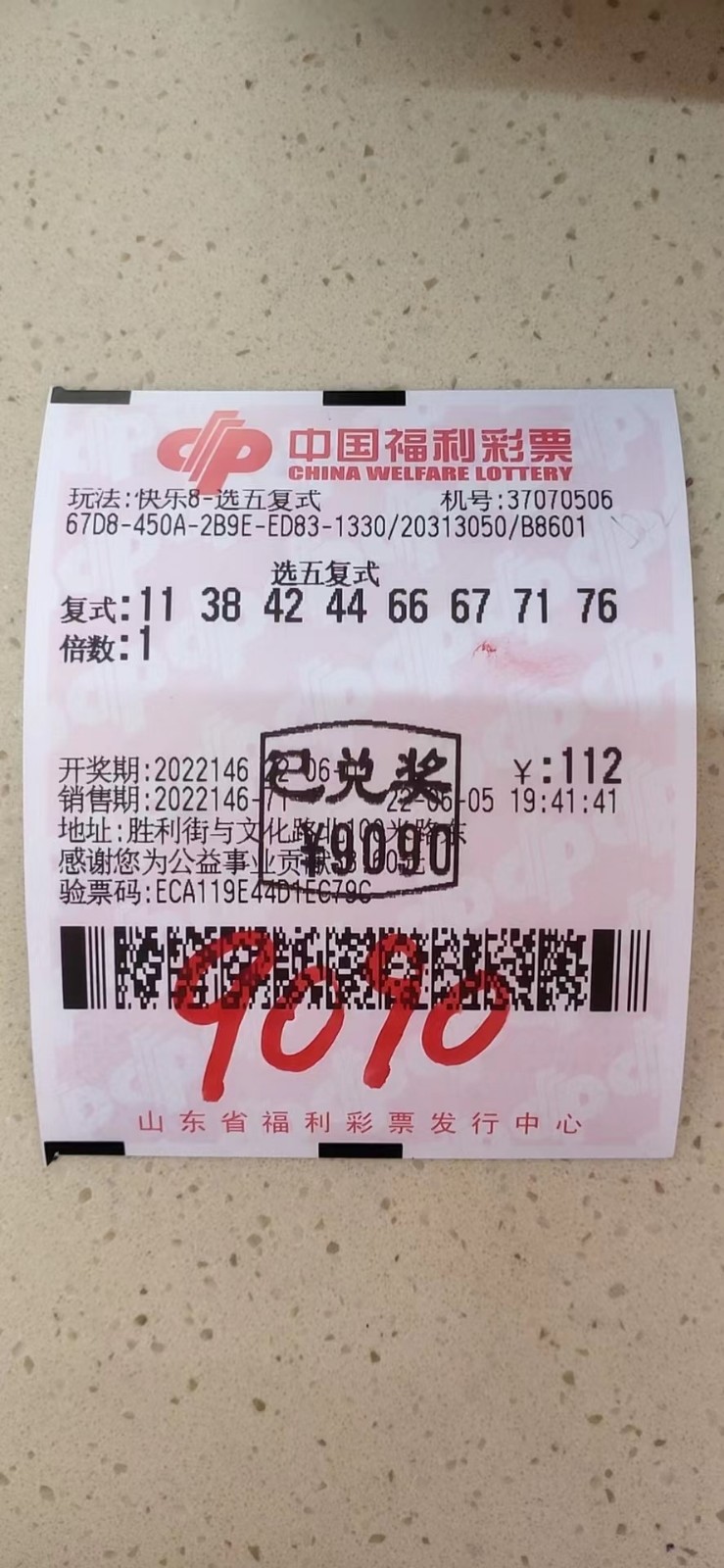 揭秘002期王中王平特一肖，背后的故事與奧秘，揭秘王中王平特一肖背后的故事與奧秘（第002期）