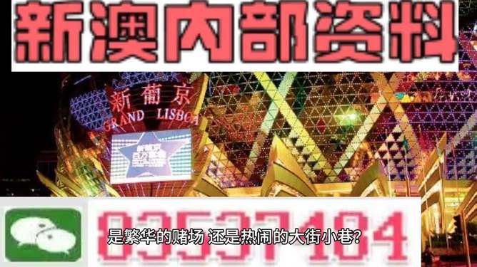 新澳門精準(zhǔn)資料大全管家婆料，探索與解析，澳門精準(zhǔn)資料大全解析，探索管家婆料內(nèi)幕