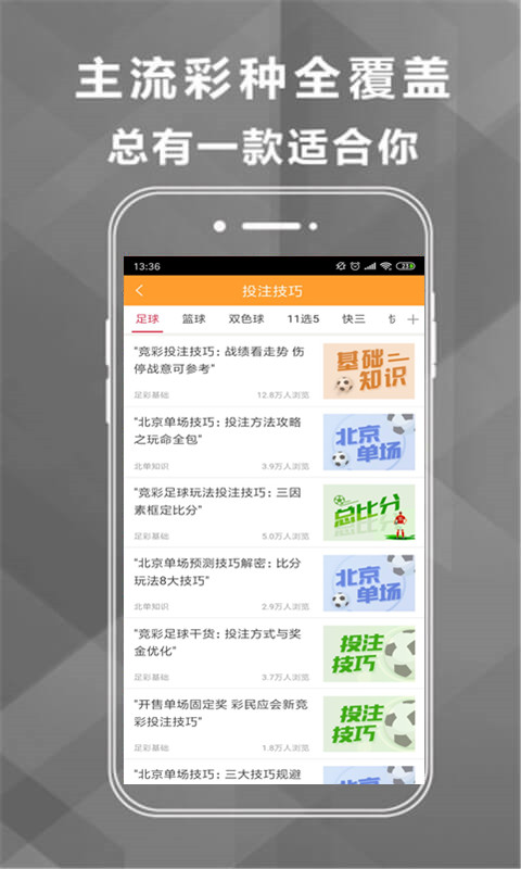王中王493333中特馬網(wǎng)站——探索彩票樂趣的首選平臺，王中王493333中特馬網(wǎng)站，彩票樂趣的首選探索平臺