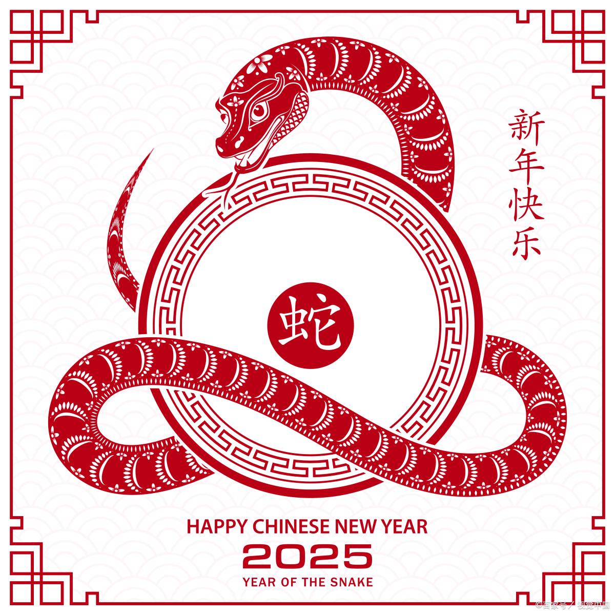 新澳2025年生肖圖，探尋未來(lái)運(yùn)勢(shì)與幸運(yùn)符號(hào)，新澳2025年生肖圖，探尋未來(lái)運(yùn)勢(shì)，揭秘幸運(yùn)符號(hào)