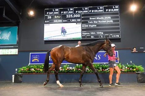 香港最精準的特馬資料，揭秘賽馬世界的秘密，香港精準特馬資料揭秘，賽馬世界的奧秘探秘