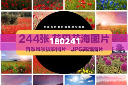 揭秘精準管家婆狗，77777與88888的神秘面紗，揭秘精準管家婆狗，神秘數(shù)字77777與88888背后的秘密
