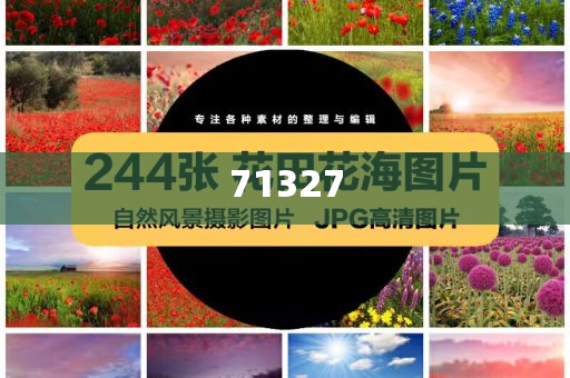 探索777788888管家婆網(wǎng)，一站式解決方案的綜合服務平臺，一站式解決方案的綜合服務平臺，探索777788888管家婆網(wǎng)