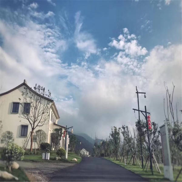 新奧今晚開一肖一特講解詞語，揭秘生肖與特肖的獨特魅力，揭秘生肖與特肖的獨特魅力，新奧今晚一開一特講解詞語